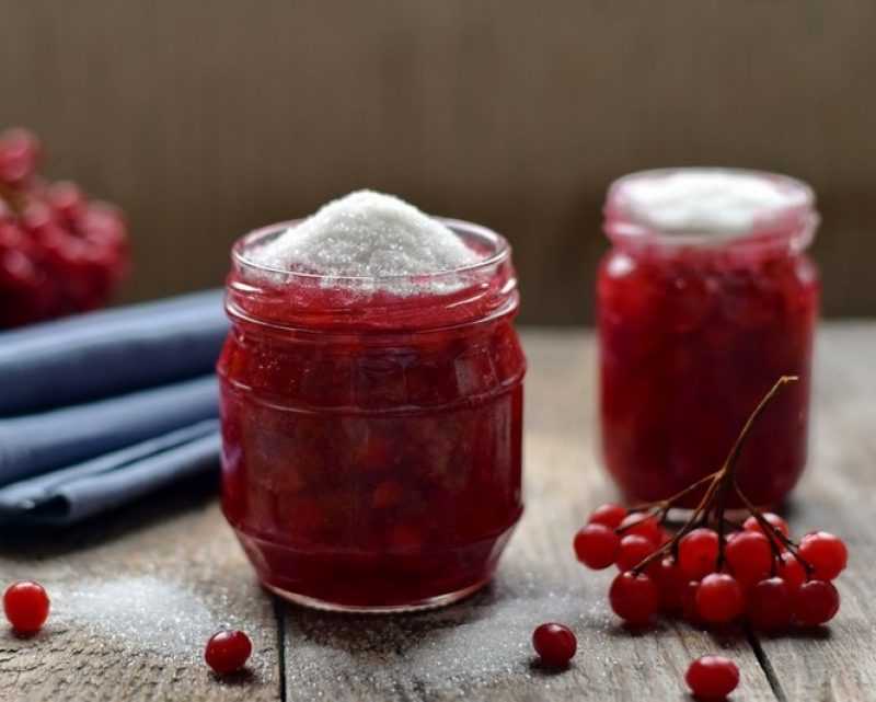 Калина с сахаром на зиму без варки: 7 лучших рецептов заготовок