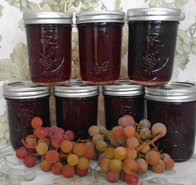 Как приготовить варенье из винограда изабелла на зиму