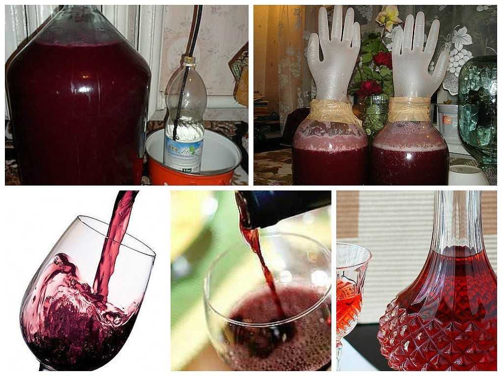 Как в домашних условиях сделать вино из старого варенья: простой и экономный рецепт