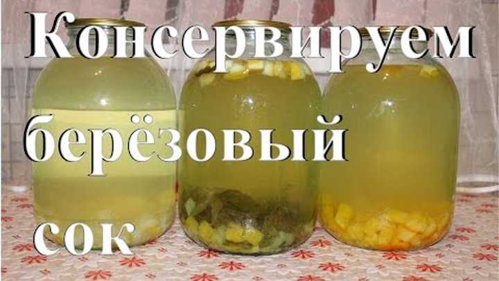 Закрываем березовый сок дома: концентрат витаминов необыкновенного вкуса
