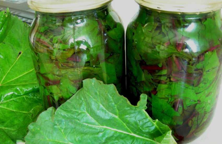 Салат из зеленых помидор на зиму, 5 лучших рецептов с фото