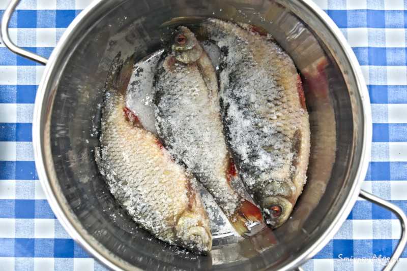 Как засолить красную рыбу в домашних условиях - 2 рецепта