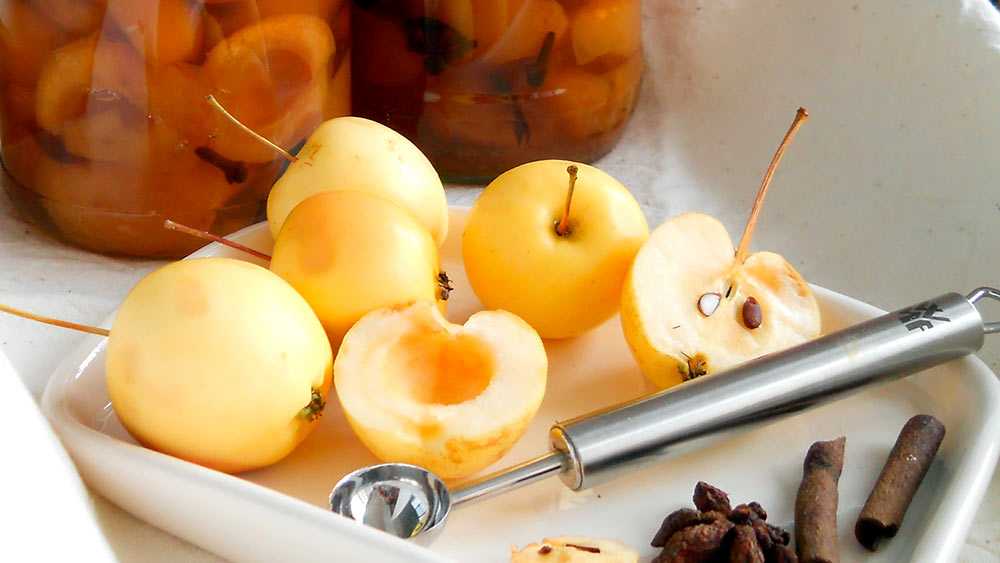 Заготовки из яблок на зиму. удачные рецепты