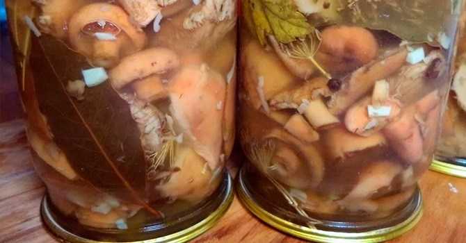 Как мариновать рыжики на зиму в стеклянных банках: рецепты маринования грибов с фото и видео