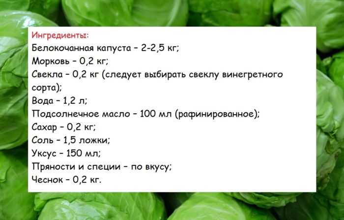 Квашеная капуста в банке – 8 рецептов хрустящей и сочной капусты с пошаговыми фото
