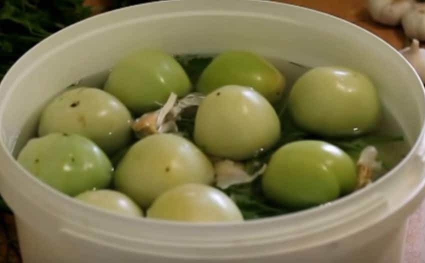 Зеленые помидоры на зиму в банках - 11 простых рецептов "пальчики оближешь"