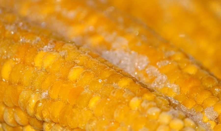 Как заморозить кукурузу на зиму, топ-4 рецепта