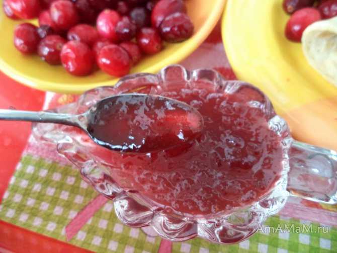 Джем - проверенные рецепты заготовки джема на зиму из ягод и фруктов