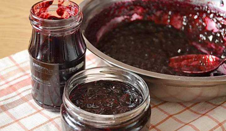 Желе из черники – 10 рецептов на зиму с пошаговыми фото