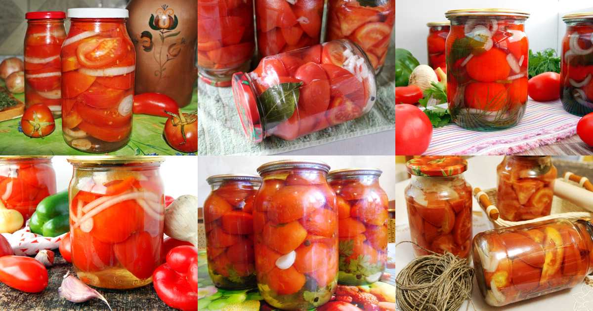 Помидоры в желатине на зиму: 6 простых и вкусных рецептов томатов в желе