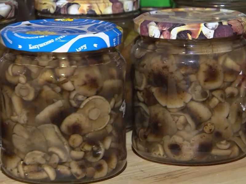 Маринад для грибов на зиму в банках: 4 рецепта, особенности приготовления