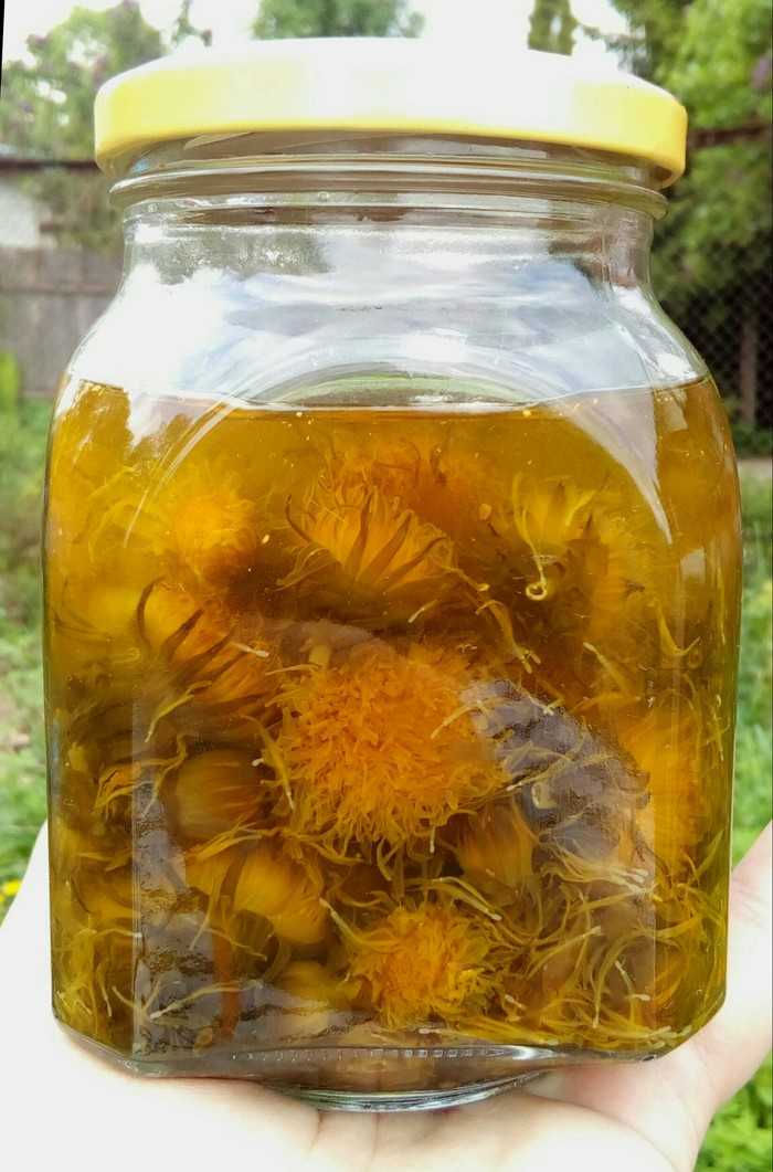 Варенье из одуванчиков — рецепт приготовления. как сварить одуванчиковый мед в домашних условиях?