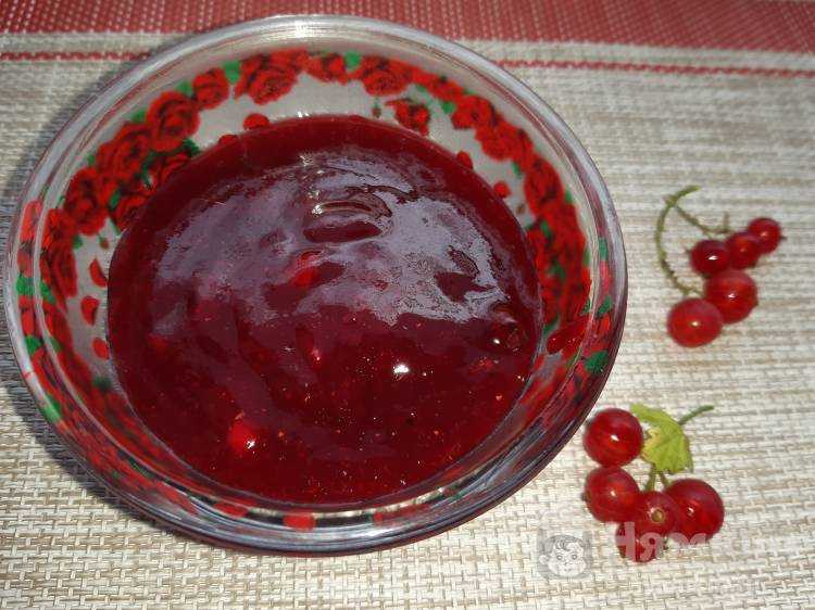 Соус из красной смородины на зиму – 9 самых простых и очень вкусных рецептов