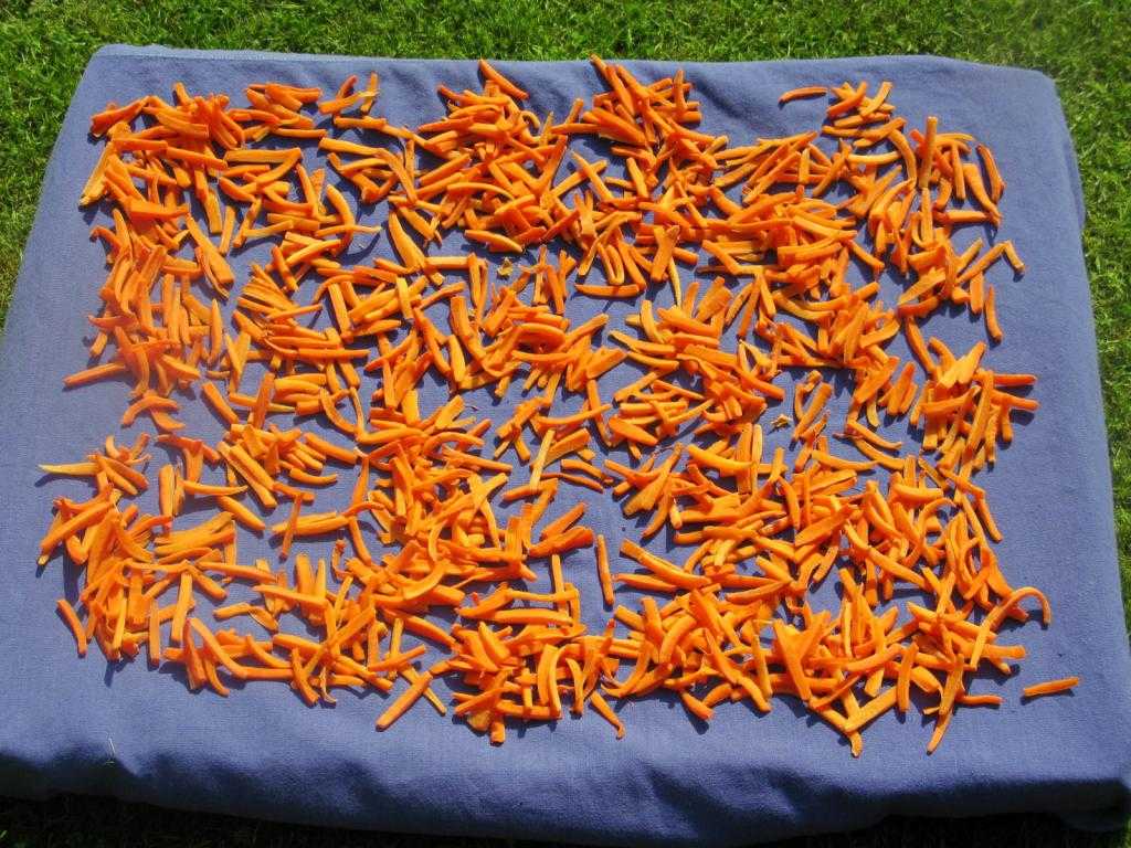 12 рецептов огурцов на зиму с морковной ботвой