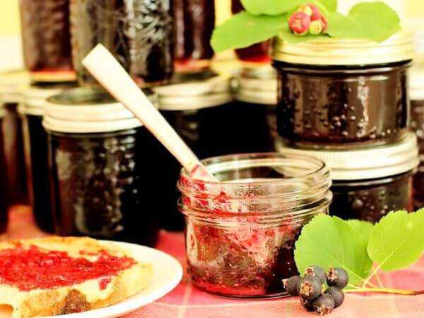 Варенье из ягод ирги на зиму – 8 самых простых и вкусных рецептов
