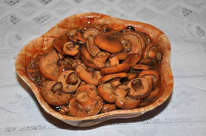 Рыжики с уксусом на зиму: пошаговые рецепты приготовления маринованных, соленых грибов и икры