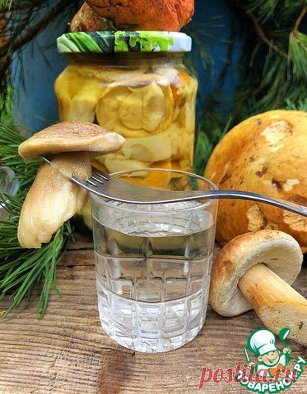 Маринованные белые грибы на зиму в банках — простые рецепты приготовления самых вкусных заготовок