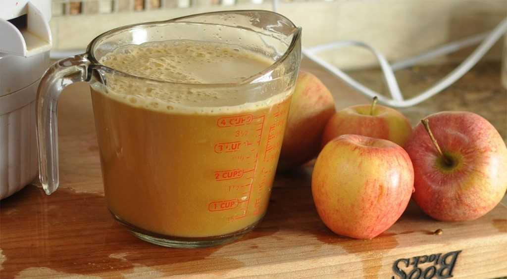 Яблочный сок на зиму: простые и самые вкусные рецепты приготовления