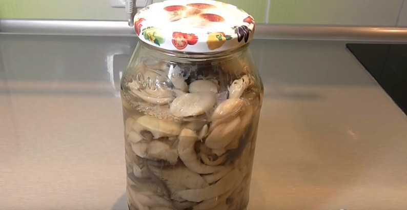 Маринованные рядовки: простые и вкусные рецепты грибов