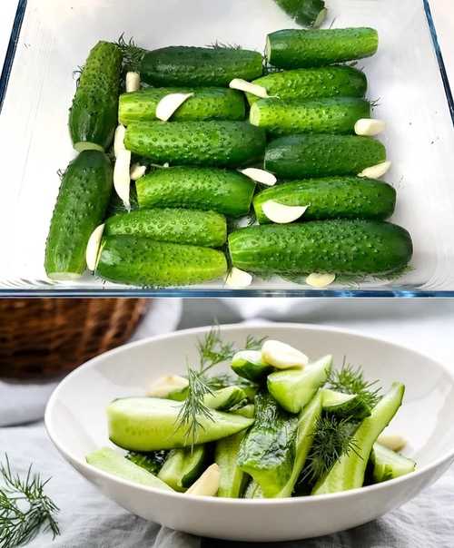 Малосольные огурцы с зеленью и чесноком быстрого приготовления – 8 рецептов с пошаговыми фото