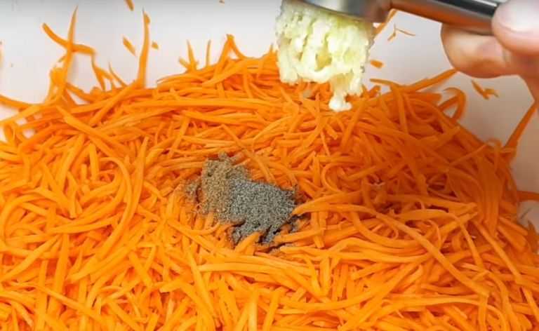 Консервирование моркови на зиму: оригинальные рецепты без стерилизации, с мелкой, кубиками, горошком, зеленым луком