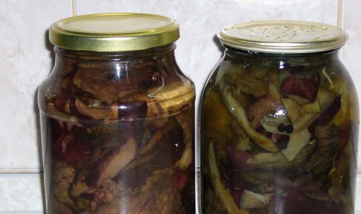 Рецепты приготовления соленых, маринованных черных груздей на зиму: пошаговые фото, как готовить грибы