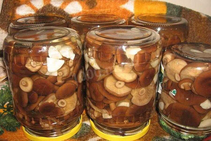 Как солить грибы - разные способы заготовки лесного урожая