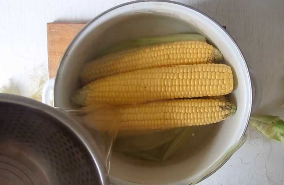 Сколько варить кукурузу бондюэль: как приготовить в домашних условиях этот сорт в початках и какое время для этого понадобится? selo.guru — интернет портал о сельском хозяйстве