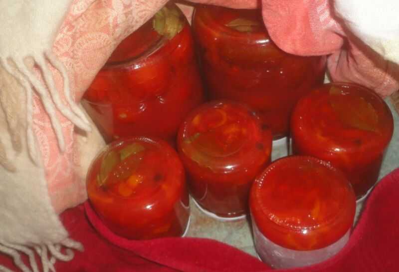 Как приготовить яблочно томатный сок на зиму: поиск по ингредиентам, советы, отзывы, пошаговые фото, подсчет калорий, удобная печать, изменение порций, похожие рецепты
