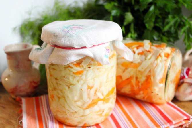 Салат из капусты, перца и моркови на зиму – 5 рецептов с пошаговыми фото