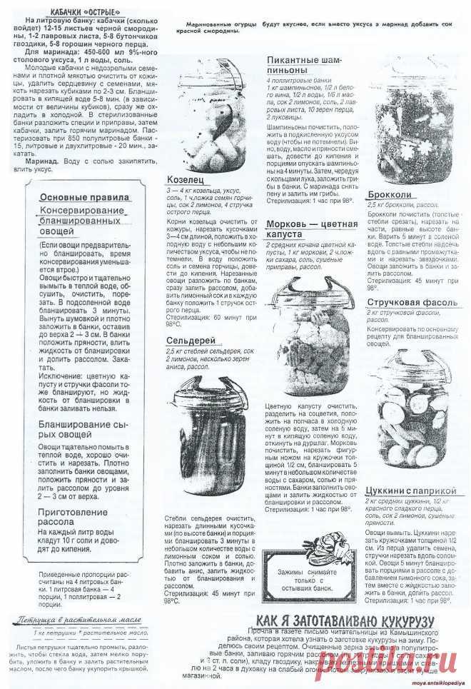 Сельдерей черешковый: рецепты приготовления на зиму